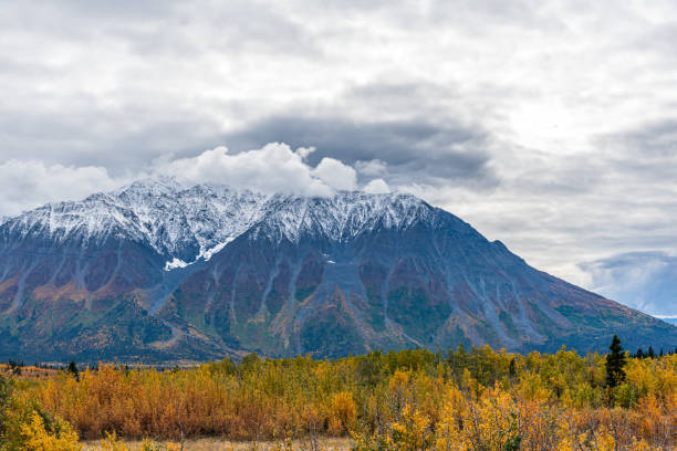 The road towards Haines Junction in Yukon Territory, northern Canada with golden trees and colors overtaking the wilderness landscape.