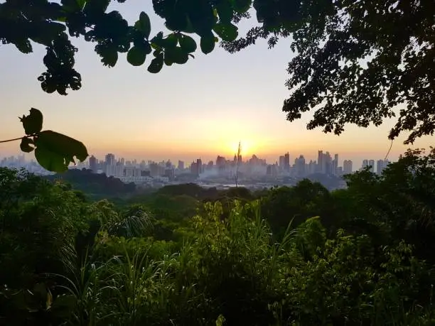 View of the buildings of Panama City, Panama from Parque Metropolitano