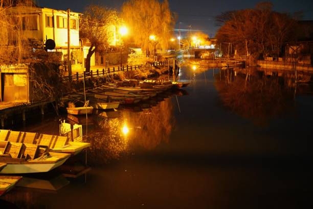 istock Night view of a rural river 1373058004