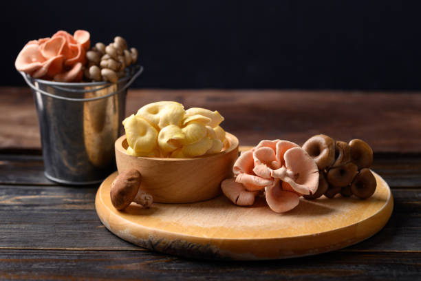 mixed fresh mushroom (edible mushroom) on wooden background - oyster mushroom edible mushroom fungus vegetable imagens e fotografias de stock