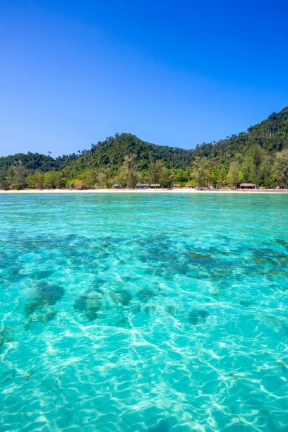 schöner strand auf der insel koh ngai - gee gee stock-fotos und bilder