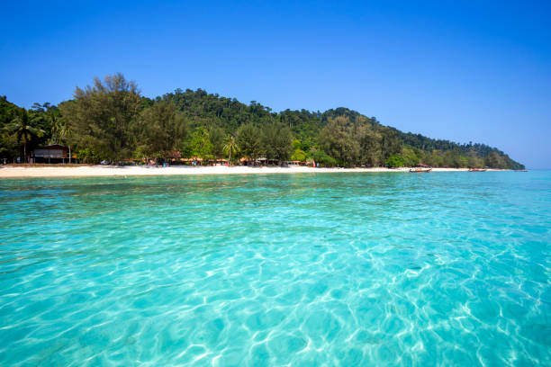 istock Beautiful beach at Koh Ngai island 1373058494