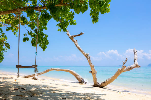istock Beautiful beach at Koh Ngai island 1373059023