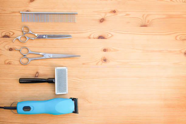 istock Grooming equipment for pets. 1373060147