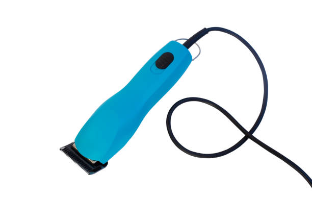 istock Blue pet grooming hair clipper . 1373061180