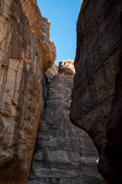 istock Al Siq, Petra, Jordan 1373062221