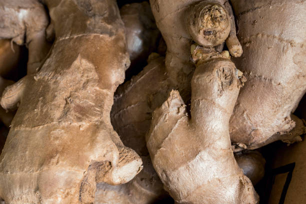 closeup of ginger for sale at a small market stall. - for sale industry farmers market market stall imagens e fotografias de stock