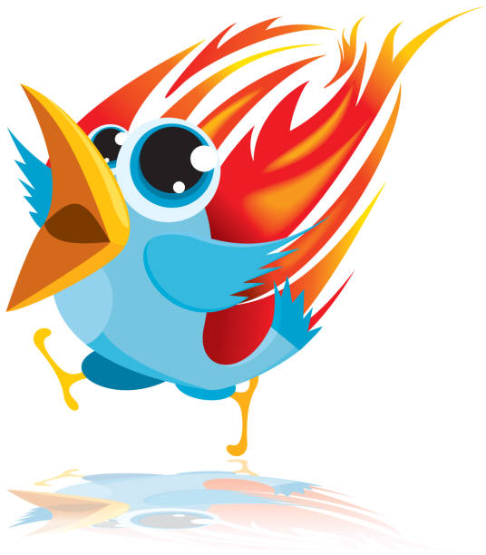 twitter bird on fire - twitter 幅插畫檔、美工圖案、卡通及圖標