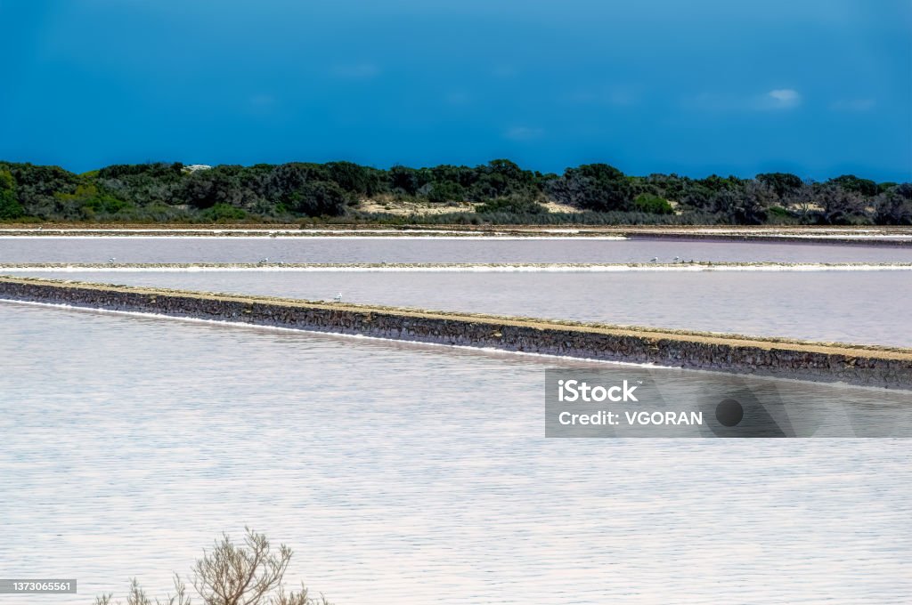 フォルメンテラ島の暑い夏の日の海塩畑。 - ストックフォト・写真素材...