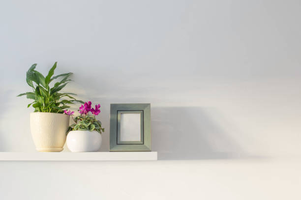 wooden frame with plants on background white wall - wall flower sunny temperate flower imagens e fotografias de stock