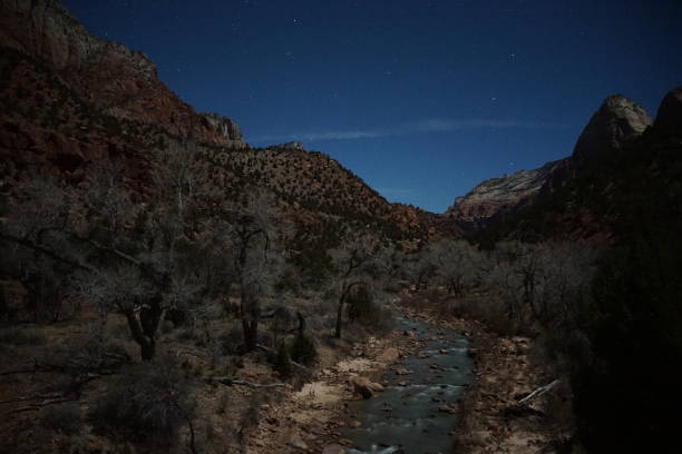 istock Zion National Park 1373071100