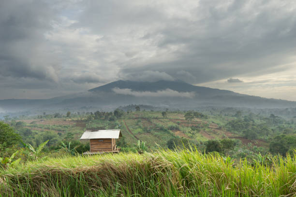 istock A hut in the middle of green rice fields in Kuningan City, West Java, Indonesia 1373073319
