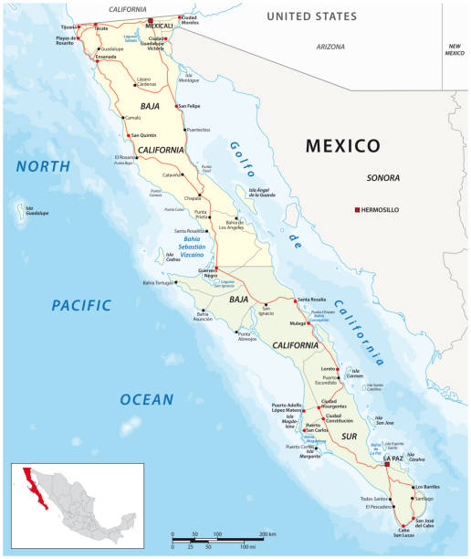 vektor-straßenkarte der mexikanischen bundesstaaten baja california und baja california south - sonora state stock-grafiken, -clipart, -cartoons und -symbole