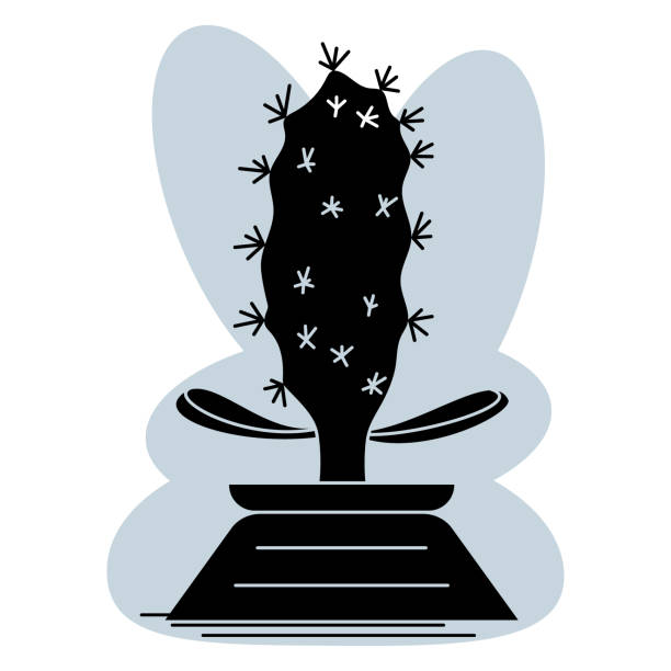 illustrazioni stock, clip art, cartoni animati e icone di tendenza di cactus, succulento in una pentola per la casa e l'ufficio. una pianta d'appartamento con punte e spine. icona vettoriale, glifo, silhouette, sfondo grigio astratto, isolato - cactus thorns