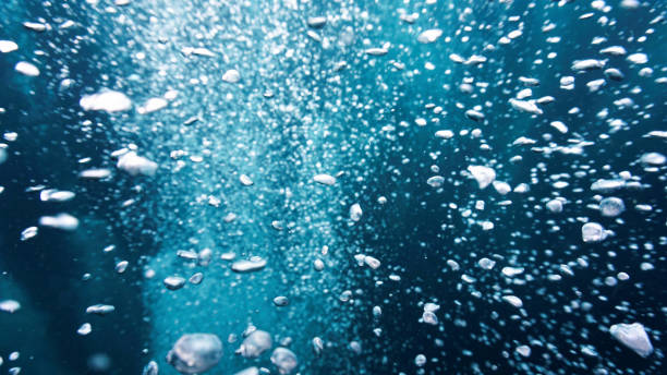 istock Underwater art of air bubbles 1373081924