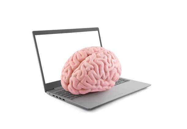 istock Human brain on laptop isolated on white background 1373082858