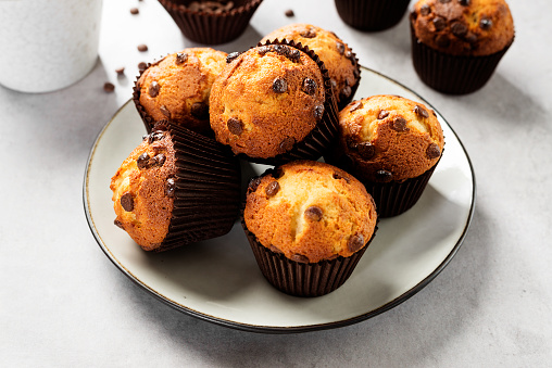 Chocolate chip muffins in plate on light gray background.