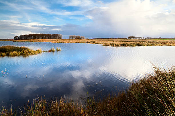 istock landscape with lake and cloudy sky 137308951
