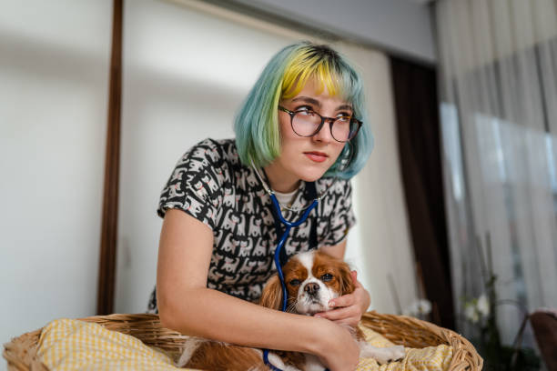 istock Female veterinarian having a check up on a dog 1373091765