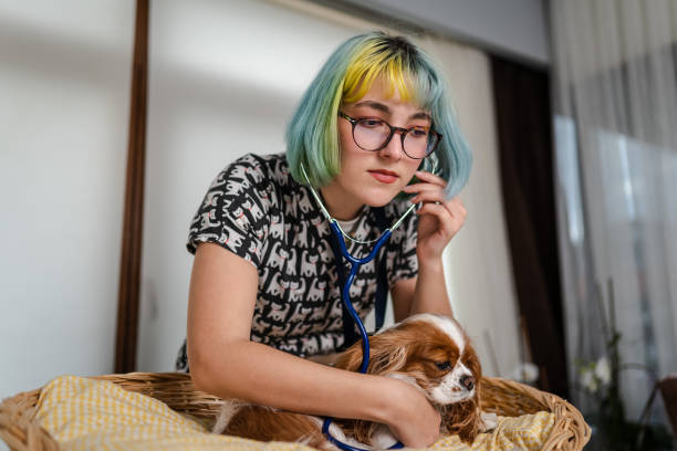 istock Female veterinarian having a check up on a dog 1373091808