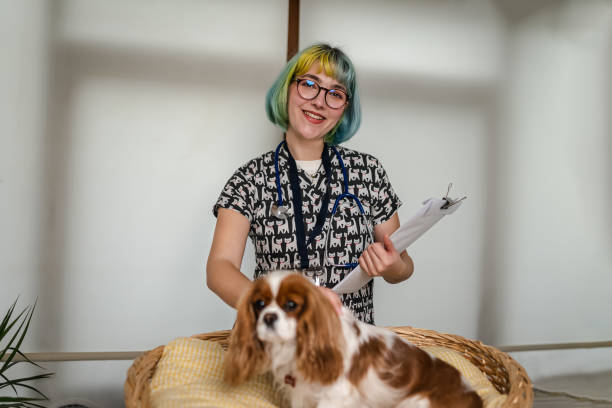istock Female veterinarian having a check up on a dog 1373091879