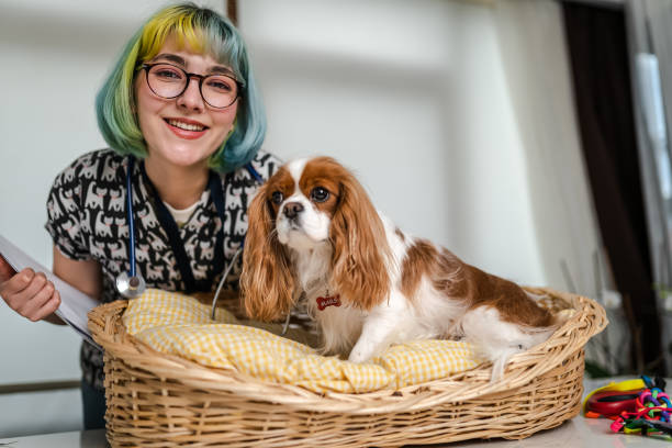 istock Female veterinarian having a check up on a dog 1373091905