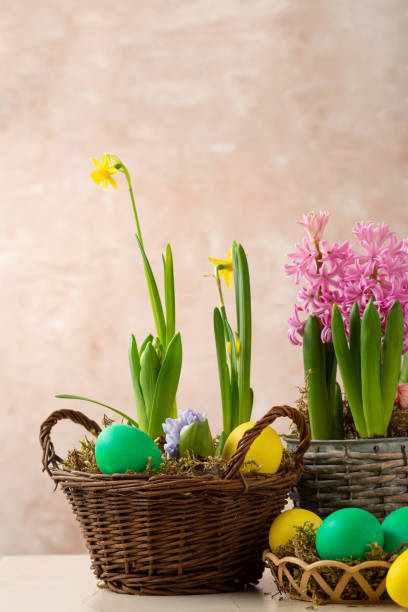 istock Easter eggs and flowers in pot spring background 1373095300