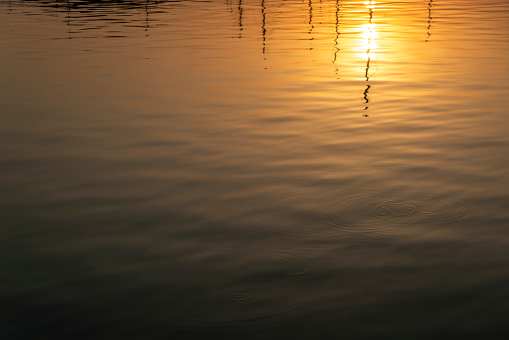 Ripple sea ocean water surface with golden sunset light. Sea waves close up