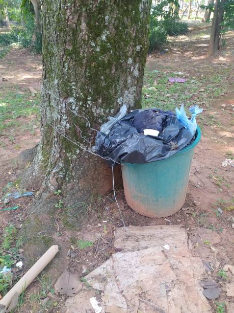 istock Plastic trashbin tied to a tree trunk in a public square 1373096119