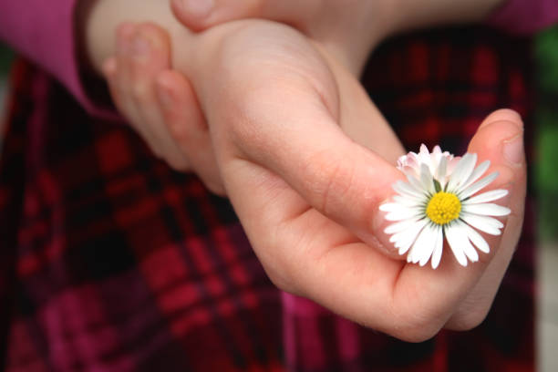 Blooming Daisy - In A Girl's Hand