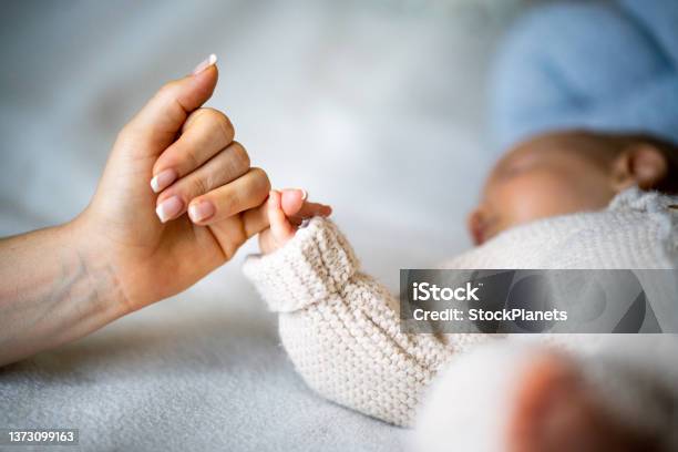 Hand Holding Newborn Babys Hand Stock Photo - Download Image Now - Mother, Baby - Human Age, New