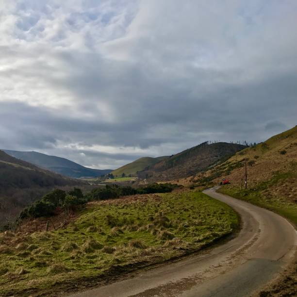 istock Twisted track in College Valley Northumberland England 1373102376