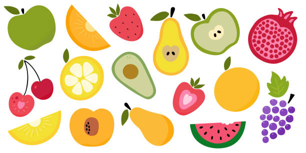 ilustraciones, imágenes clip art, dibujos animados e iconos de stock de lindos colores brillantes de frutas colecciones vectoriales. elementos gráficos de gran conjunto - avocado seed cross section food and drink
