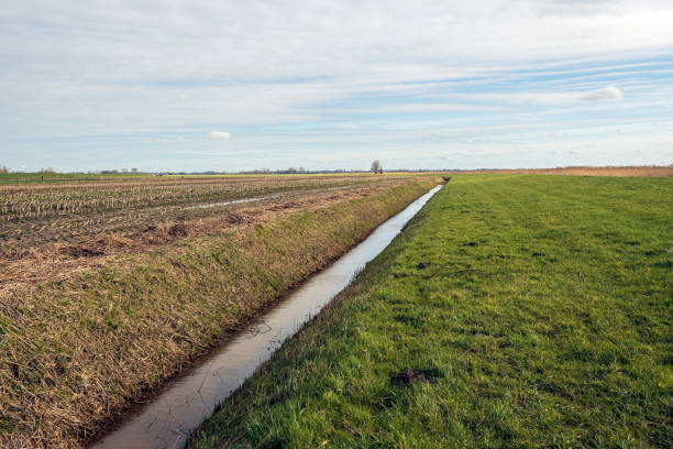 istock Vast Dutch polder landscape intersected by a ditch 1373103301