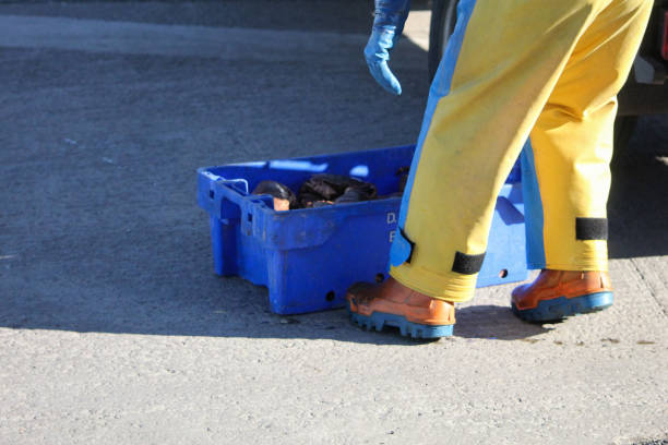 Box of crabs with nearby worker