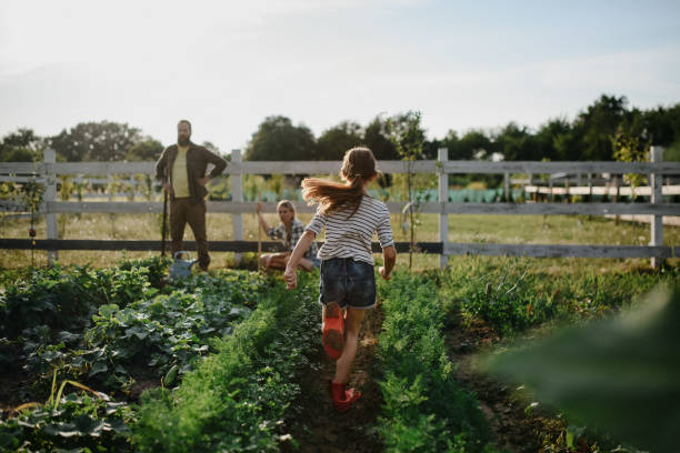 rear view of little girl running to her parents farmers who are working at field. - autarkie stockfoto's en -beelden