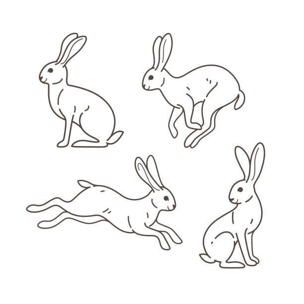 animal Cartoon hare icon set. Cute animal character in different poses. Vector illustration for prints, clothing, packaging, stickers. hare and leveret stock illustrations