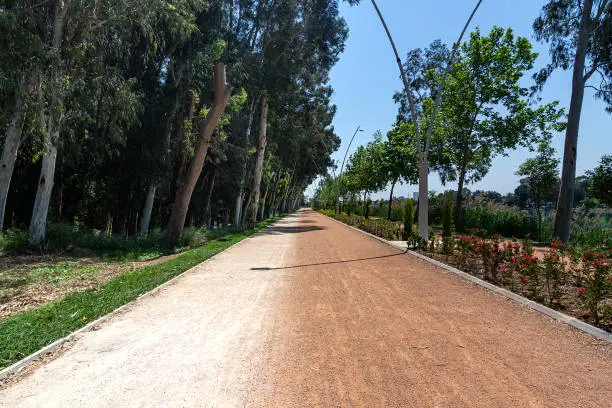 Photo of Walking path in trees near Adana Seyhan river