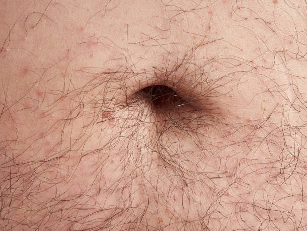 Hairy navel on a caucasian man's fat belly, no faces shown, nude image Hairy navel on a caucasian man's fat belly, no faces are shown bear stomach stock pictures, royalty-free photos & images