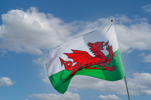 Cardiff, Wales - March 2022: Welsh flag being held aloft by a rugby fan in Cardiff city centre on match day