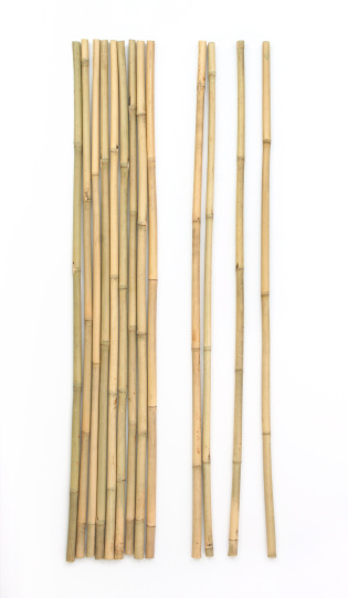 bamboo on white background