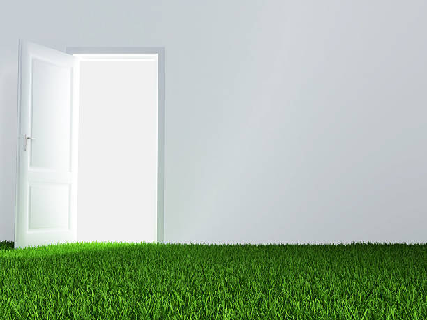 istock door and green lawn 137312412