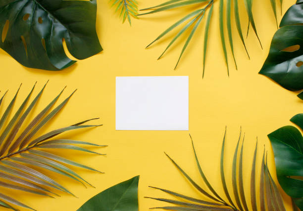 istock Creative layout made of colorful tropical leaves on background. summer exotic concept with copy space. Border arrangement. 1373124828