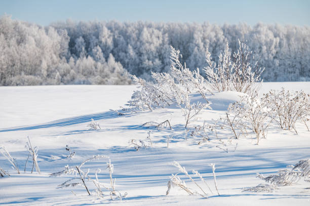 istock not frozen pond in winter 1373125937