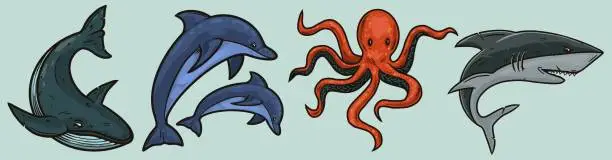 Vector illustration of A set of vintage illustrations of marine animals drawn isolated. Sea life.