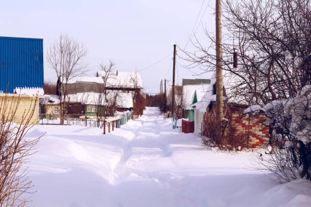 Vegetable gardens in winter. Background. Landscape.