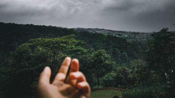istock Lingkung Gunung, West Java February 27, 2022 : Mountain view and a row of tall and beautiful green trees, taken in a landscape position 1373133093