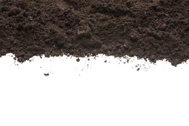 istock Black land for plant isolated on white background. 1373133387