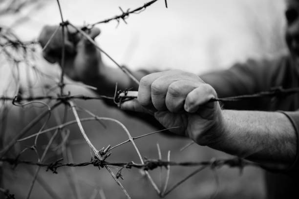 Trying to escape! Male hands on barbed wire Struggle for freedom. Man holding metal border fence. Immigration and escape people concept. Close up, selective focus prison escape stock pictures, royalty-free photos & images