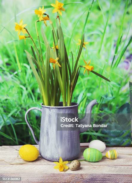 Easter Eggs Metal Vintage Jug With A Bouquet Of Fresh Blooming Yellow Daffodils On A Wooden Table Against The Background Of Green Grass Stock Photo - Download Image Now